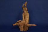 Corbo Wood / Aquarium Wurzel C116