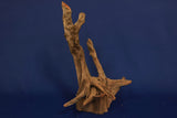 Corbo Wood / Aquarium Wurzel C116