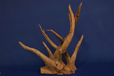 corbo-wood-aquarium-wurzel-kaufen-117