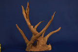 Corbo Wood / Aquarium Wurzel C117