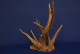 Corbo Wood / Aquarium Wurzel C117