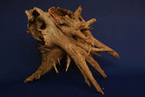 corbo-wood-aquarium-wurzel-kaufen-118