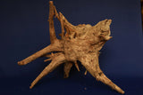 Corbo Wood / Aquarium Wurzel C118