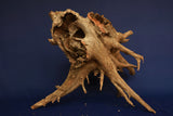 Corbo Wood / Aquarium Wurzel C118