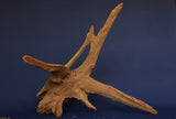 corbo-wood-aquarium-wurzel-kaufen-119