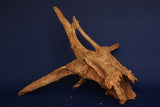Corbo Wood / Aquarium Wurzel C119