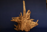 corbo-wood-aquarium-wurzel-kaufen-120