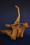 Corbo Wood / Aquarium Wurzel C120