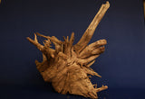 Corbo Wood / Aquarium Wurzel C120