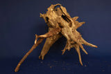 corbo-wood-aquarium-wurzel-kaufen-121