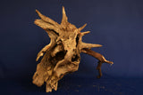 Corbo Wood / Aquarium Wurzel C121