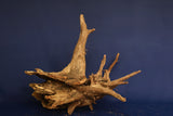 Corbo Wood / Aquarium Wurzel C121