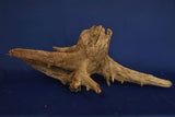 Corbo Wood / Aquarium Wurzel C122