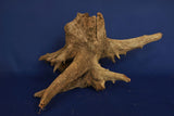 Corbo Wood / Aquarium Wurzel C122