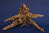 corbo-wood-aquarium-wurzel-kaufen-123