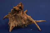 Corbo Wood / Aquarium Wurzel C123