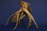 Corbo Wood / Aquarium Wurzel C124