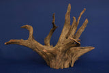 Corbo Wood / Aquarium Wurzel C125