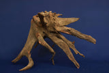 Corbo Wood / Aquarium Wurzel C125