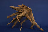 Corbo Wood / Aquarium Wurzel C125