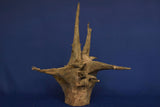 corbo-wood-aquarium-wurzel-kaufen-126