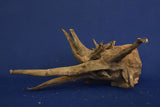 Corbo Wood / Aquarium Wurzel C126