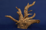 corbo-wood-aquarium-wurzel-kaufen-127