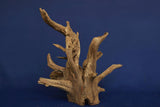 Corbo Wood / Aquarium Wurzel C127