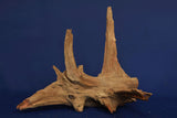 Corbo Wood / Aquarium Wurzel C128