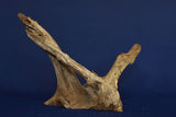 corbo-wood-aquarium-wurzel-kaufen-129