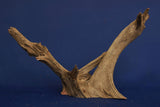 Corbo Wood / Aquarium Wurzel C129