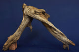 Corbo Wood / Aquarium Wurzel C129