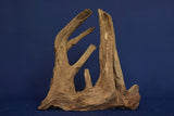 Corbo Wood / Aquarium Wurzel C130