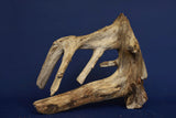 Corbo Wood / Aquarium Wurzel C130