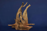 corbo-wood-aquarium-wurzel-kaufen-131