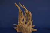Corbo Wood / Aquarium Wurzel C131