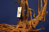 Corbo Wood / Aquarium Wurzel C13