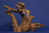 Corbo Wood / Aquarium Wurzel C22