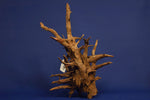 Corbo Wood / Aquarium Wurzel C24