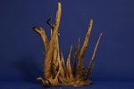 Corbo Wood / Aquarium Wurzel C26