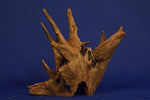 Corbo Wood / Aquarium Wurzel C41