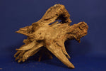 corbo-wood-aquarium-wurzel-kaufen-50a