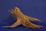 corbo-wood-aquarium-wurzel-kaufen-54