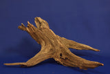 corbo-wood-aquarium-wurzel-kaufen-54