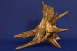 corbo-wood-aquarium-wurzel-kaufen-55