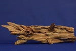 corbo-wood-aquarium-wurzel-kaufen-56