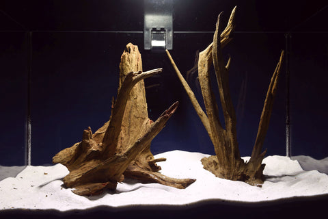 corbo-wood-aquarium-wurzel-kaufen-84