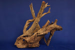 corbo-wood-aquarium-wurzel-kaufen-84