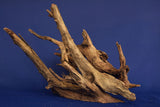 Corbo Wood / Aquarium Wurzel C84