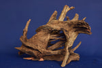 Corbo Wood / Aquarium Wurzel C84
